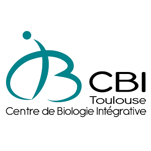 CBI