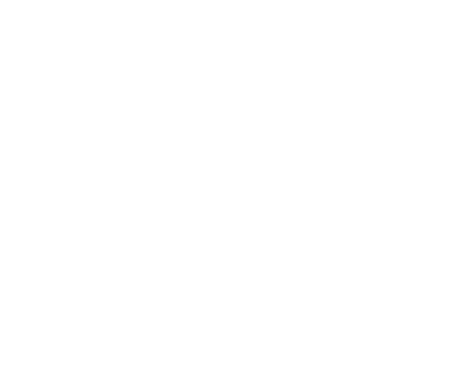 logo IRD