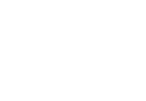 logo Toulouse INP